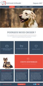 Create a Pet Care Services Website | Boost Your Business Online with A2A PRODUCTION Digital Advertising Solutions and Web development in Lebanon